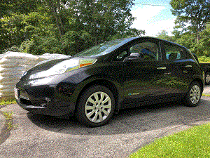 Leaf2015